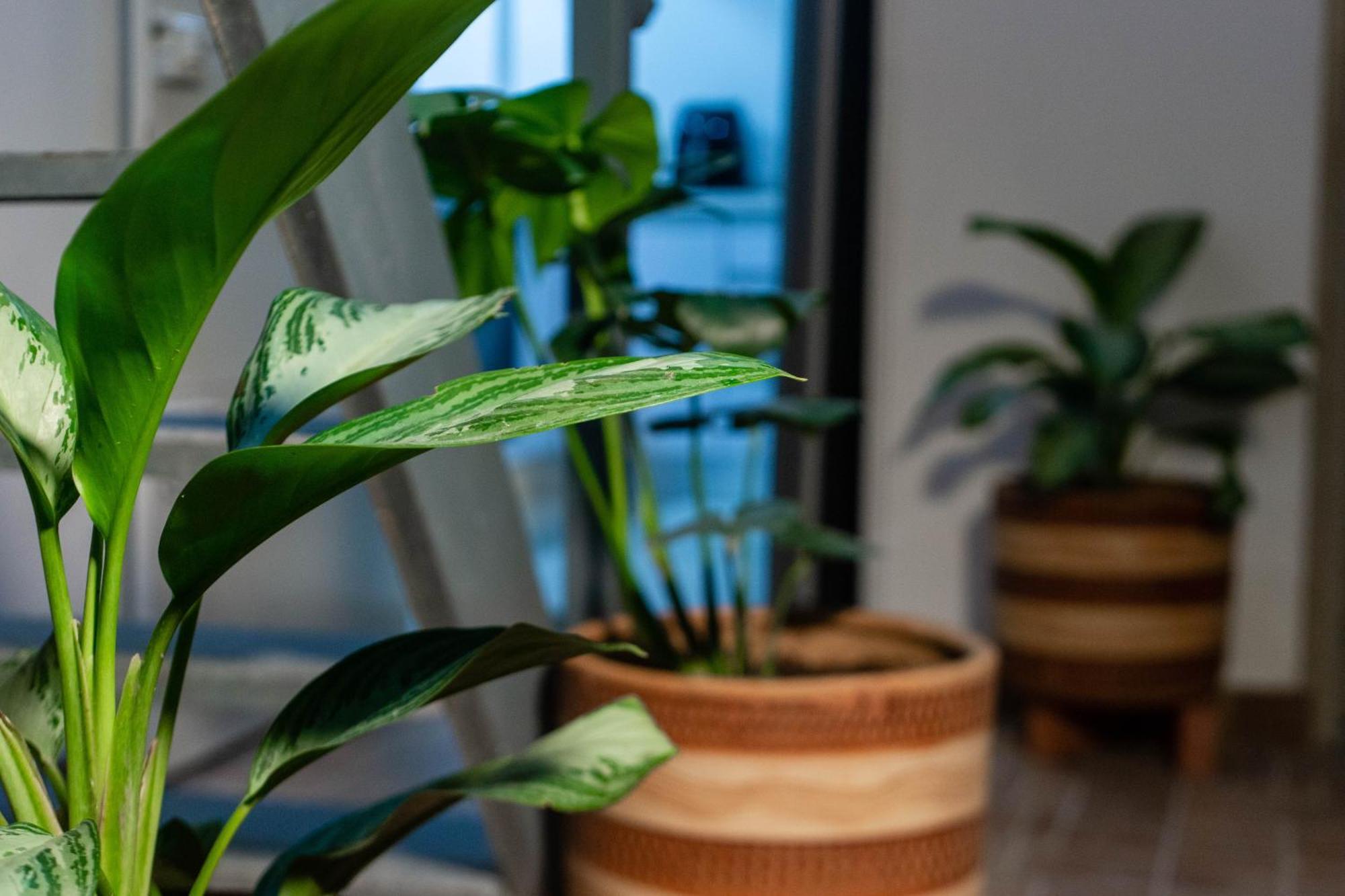 Casa Bacoba Apartment Santa Marta  Ngoại thất bức ảnh